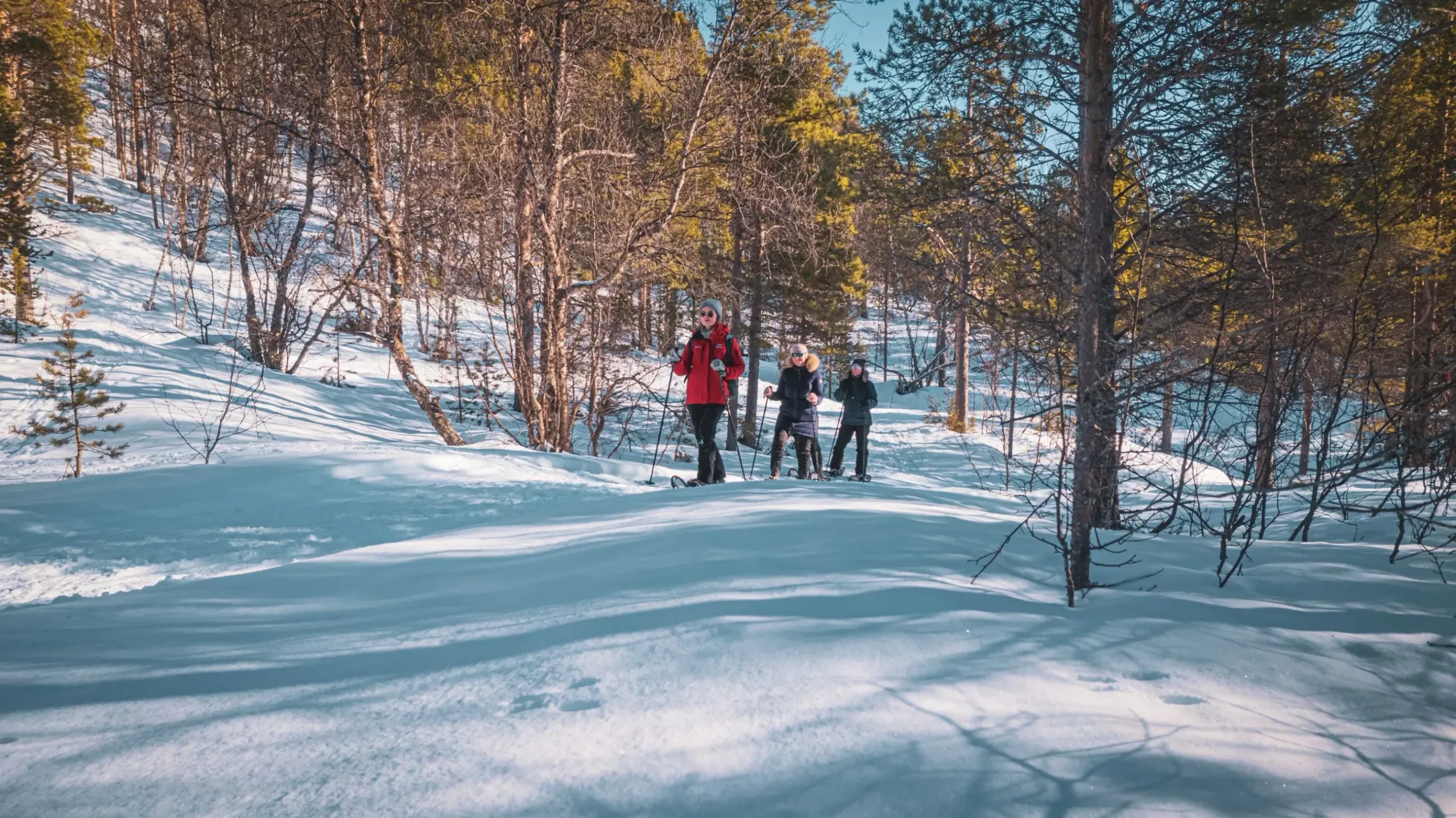 Trugetur gjennom snødekt skog ved Gargia